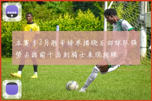 本赛季2月胜率榜单揭晓东部球队强势占据前十马刺骑士表现抢眼